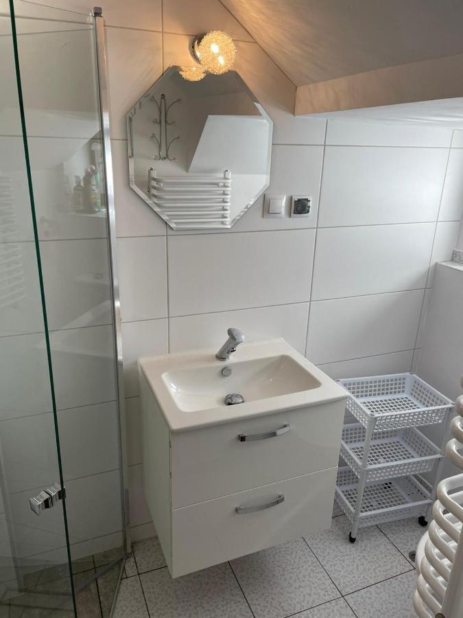 Hacjenda - Domek Caloroczny Krasnobród Extérieur photo